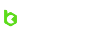 bcgame logo